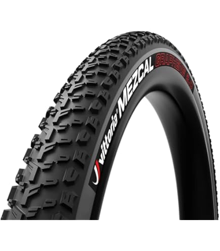 Amazon | Continental（コンチネンタル） RACE KING PROTECTION PT