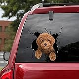 ChichuangK Uteリトルプードル亀裂3d車のステッカー、面白い現代アートデザインステッカー、車の装飾ステッカー、車の窓バンパーステッカー、冷蔵庫ステッカー、インテリア装飾、トイレステッカー