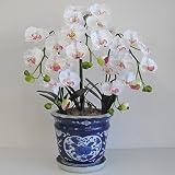 胡蝶蘭の鉢植え 光触媒 造花 Sサイズ-3本立 H43cm(白/花弁・薄赤-青のデザイン鉢)