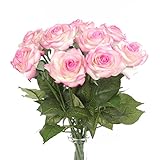 Louis Garden 保湿な手触りのバラ (12, Purple White)