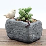 Moobom 植木鉢 おしゃれ プランター ガーデニング フラワーポット 寄せ植え 多肉植物 樹脂 ナチュラル (2)