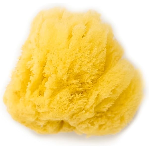 Amazon.co.jp: 天然海綿 スポンジ 地中海産 ハニコム種 100%天然