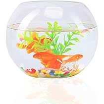 Amazon | 【おしゃれ金魚鉢】ガラス製 円形水槽セット｜メダカ