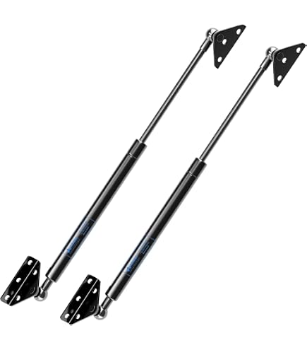 PAMAGOO 20-Inch 100 Lbs Stainless Steel Gas Struts (2-Pack) – Marine Grade Shocks For Boat Hatches, RV Beds, & Trap Doors