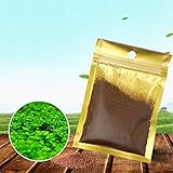 水と草の種 水槽の装飾 水族館の装飾 小さな草の葉