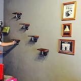 HAIZHEN 多機能棚貯蔵ラック壁装飾花スタンド産業レトロ水パイプ棚