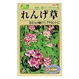 カネコ種苗  草花タネ れんげ草 10袋セット 133