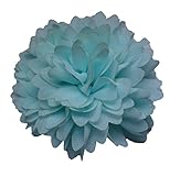 MANDY Chrysanthemum Aqua