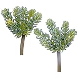 Supla 2 pcs人工鉛筆Succulent Pick inホワイトグリーン7 " Tall