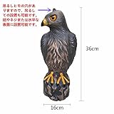 鳥専用　鳥よけ　Zyurong　鷲専用　鷲よけ　吊るしヒモの穴付き　庭の装飾　カラス専用退治器 防鳥防獣対策　鳥獣害用品 迷惑鳥撃退