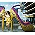 GIRL NEXT DOOR「Seeds of dream(CD+DVD)」