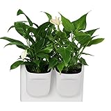 Umora 植木鉢 壁掛け 長く経っても水やり不要 自動給水 壁掛け鉢 プラスチック 観葉植物 プランター 花鉢 デコレーション インテリア (ホワイト)