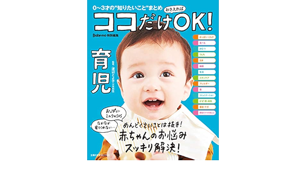 ココだけおさえればｏｋ 育児 主婦の友生活シリーズ 渡辺 とよ子 妊娠 出産 子育て Kindleストア Amazon
