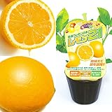 早成りレモン：レモン21　3号ポット3株セット[糖度が高く香りもよい!][柑橘・かんきつ類苗木] ノーブランド品