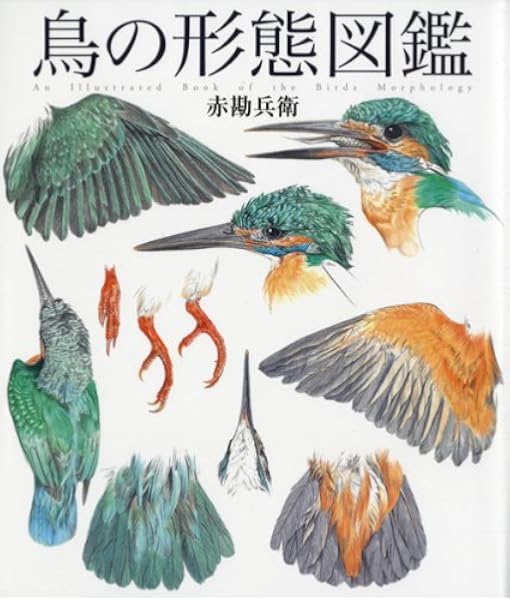 鳥の形態図鑑 細密画シリーズ 赤 勘兵衛 本 通販 Amazon