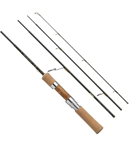 Amazon | ダイワ(DAIWA) ネイティブトラウトロッド ワイズストリーム