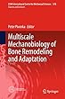 Multiscale Mechanobiology of Bone Remodeling and Adaptation (CISM International Centre for Mechanical Sciences)