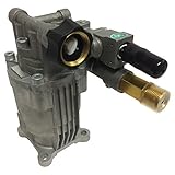 Homelite 308418007 Horizontal PSI 2600 Pump [並行輸入品]