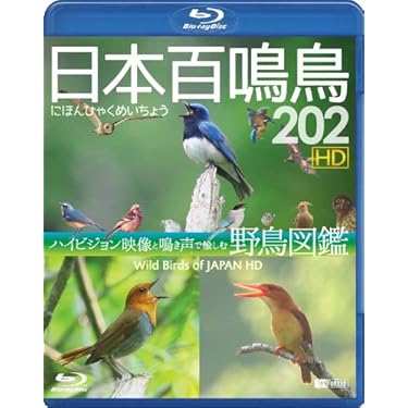 大きな鳥と小さな鳥 ニューマスター版 [DVD] Amazon.co.jp: 大きな鳥と小さな鳥 【HDリマスター版】 [DVD