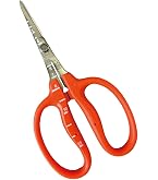 Amazon | 近正(Chikamasa)チカマサ ステンレス ぶどう手入れ鋏 B-500S