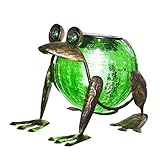 Evergreen Enterprises EG2SP3912 Quirky Solar Frog Lantern [並行輸入品]