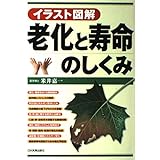 イラスト図解 老化と寿命のしくみ