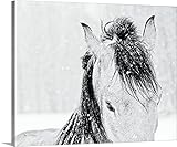 Lisa Cuemanプレミアムシックラップキャンバス壁アート印刷題名雪Daze III Crop 20" x 16" 2219110_24_20x16_none