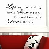 Pop Decors WL-0030-Va Inspirational Quote Wall Decal, Life Isn't About Waiting for The Storm to Pass