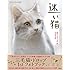 迷い猫 映画「先生と迷い猫」公式写真集