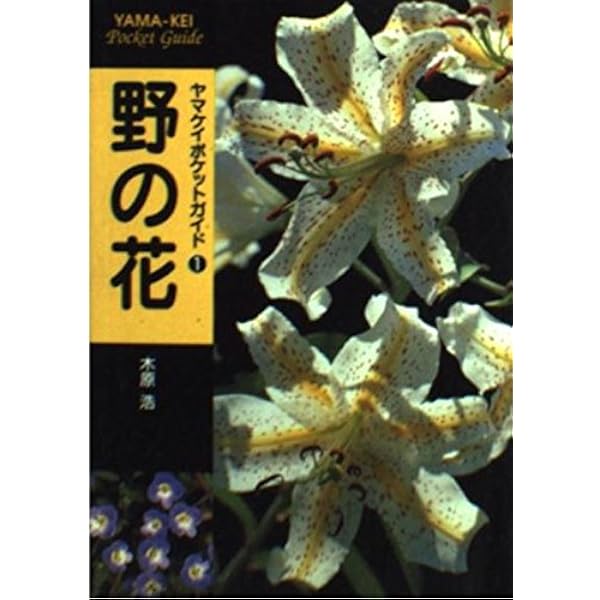 きのこ (ヤマケイポケットガイド) | 小宮山 勝司 |本 | 通販 | Amazon
