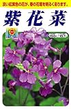 アタリヤ農園 ガーデニング用品 種 紫花菜