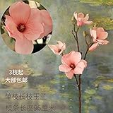 BAGEHUA マグノリアの花シミュレーション単一階リビングルーム家具、シルクの花飾り装飾住宅フェイクフラワー、 D