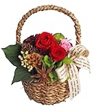 フラデコ　枯れないお花　ﾌﾟﾘｻﾞｰﾌﾞﾄﾞﾌﾗﾜｰ「カノン」 (レッド)