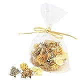 東京堂 クリスマス ドライフラワー ホワイト&ゴールド木の実アソート(30コ入り) DT074337