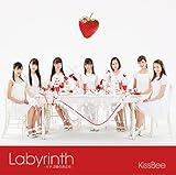 Labyrinth�`�C�`�S�P�̗������`(Type-D)