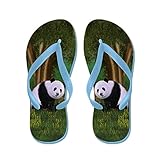 lplpolキュートパンダFlip Flops for Kids and大人用ユニセックスビーチサンダルプールシューズパーティースリッパ カラー: ブルー