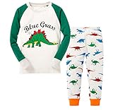 Gold treasure綿100%子供パジャマ長袖 キッズ 漫画の緑恐竜寝間着2-7歳 (110cm(5歳))