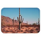 vroselvカスタムドアmatsaguaro cactudecor Grown Prominentサボテンwith the spinehardy plantclear Sky Landscape画像