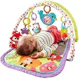 Fisher-Price 3-in-1 Musical Activity Gym [並行輸入品]