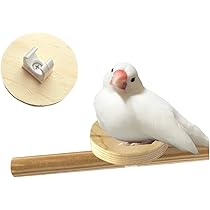 51Lw4JtGQIL._AC_UL210_SR210,