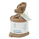 WORLD PLANT COLLECTION(世界の植物)　栽培セット (ユーカリ)