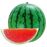 10 Seedless watermelon Seeds sweet& juice very tasty easy-growing tropical fruit seeds for planting 