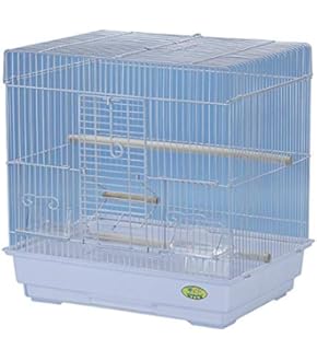 Amazon.co.jp: マルカン 保温電球40W カバー付 ＋ ミニマル