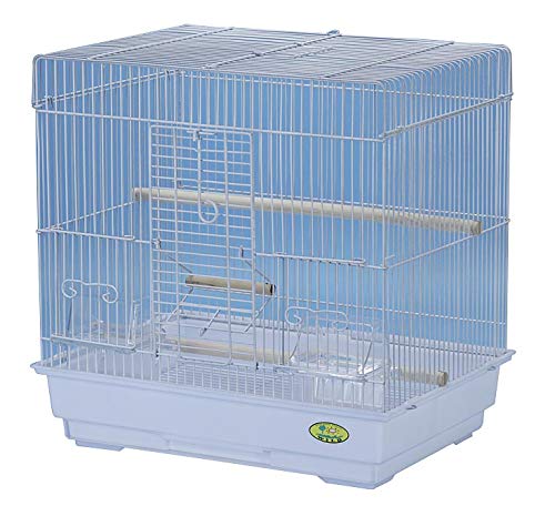 文鳥がかわいすぎる 育て方のコツや魅力を語る ハマリタガリ