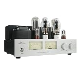 Jaiyinnal HiFi 真空管 300B Push 845 アンプ ブルートゥース クラスAシングルエンド 手作り 電子管 ホームステレオアンプ (標準バージョン-シルバーブラック)