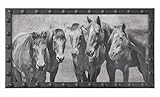 Meeting Of The Minds Horse Print [並行輸入品]