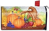 Horn of Plenty Fallメールボックスカバー感謝祭秋Pumpkinsフルーツ標準