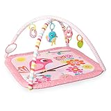 Bright Starts ブライトスターツ バーズ&ブルームス・アクティビティジム (11504) Kids II