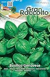 野菜の種 バジル・イタリアンクラシコ