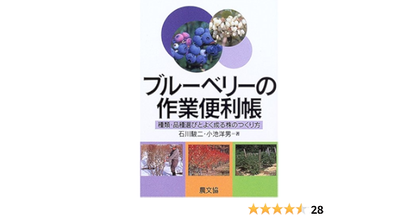 ブルーベリーの作業便利帳 種類 品種選びとよく成る株のつくり方 駿二 石川 洋男 小池 本 通販 Amazon